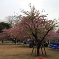 IMG 0765
