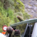 IMG 4757